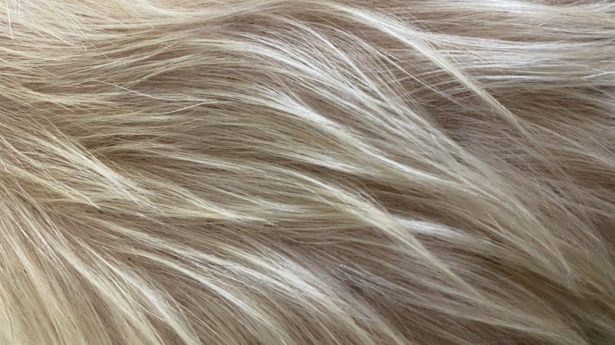 白髪・グレイヘアに関する意識調査2021